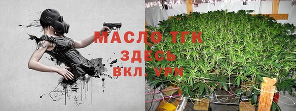 хмурый Абаза