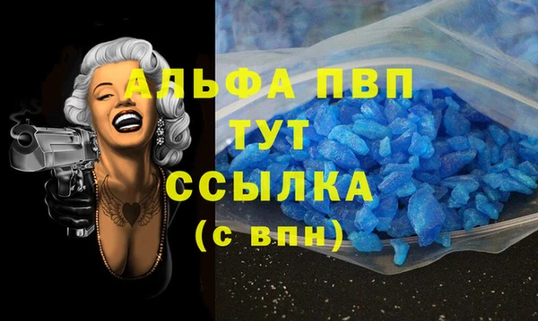 хмурый Абаза
