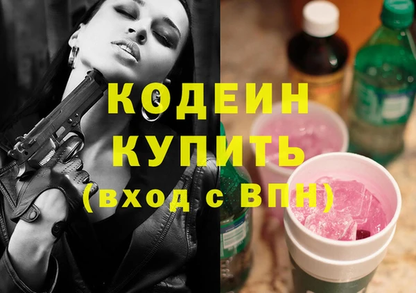 хмурый Абаза