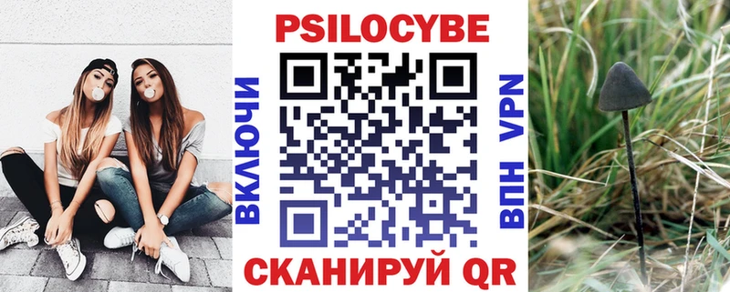 Галлюциногенные грибы прущие грибы  Полтавская 